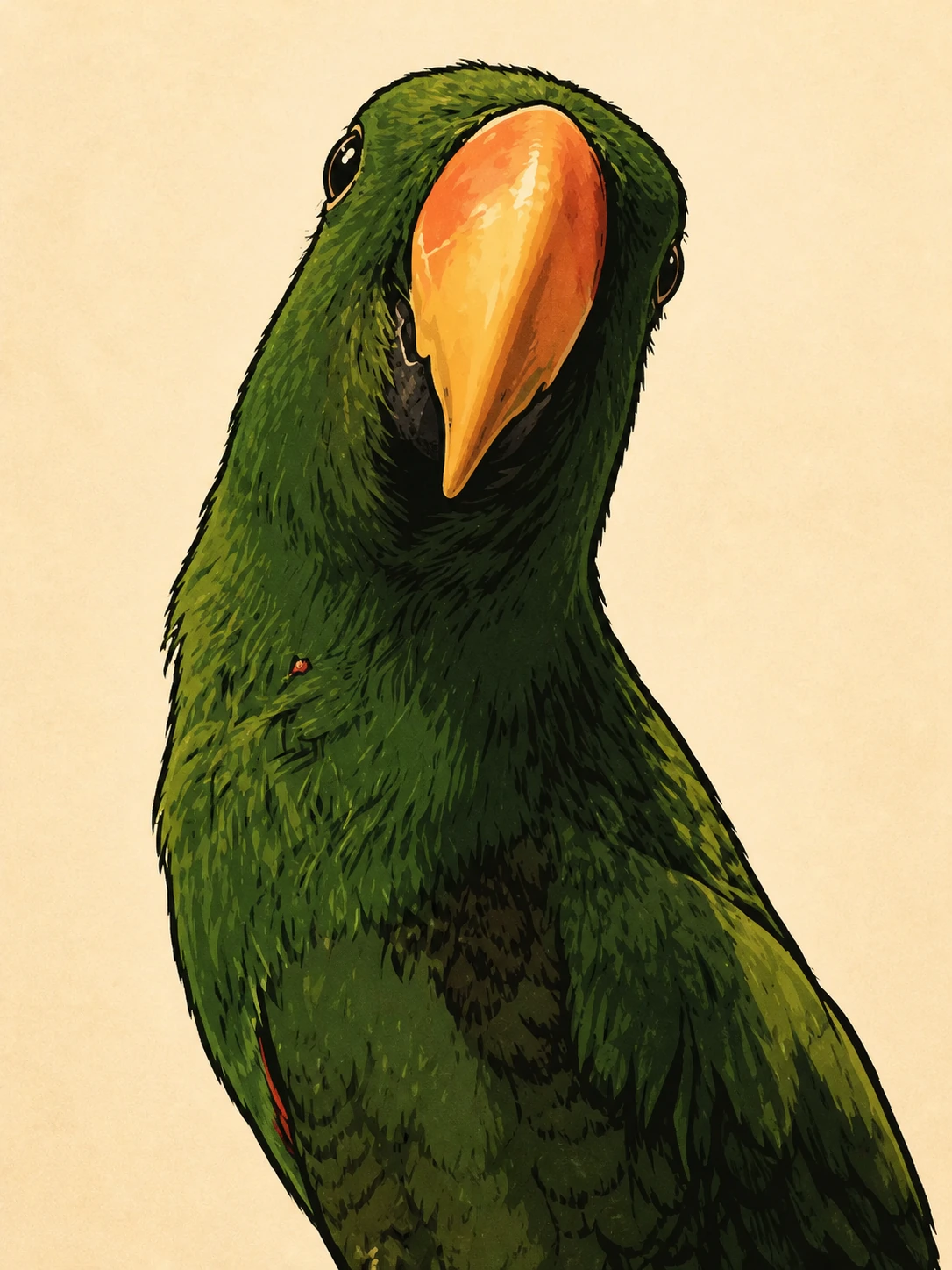 Ink-and-marker illustration of Albert, a bright green eclectus parrot with a large orange beak, head tilted to one side.
